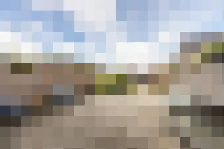 Hoge Weere 110 Zwaag thumbnail 33