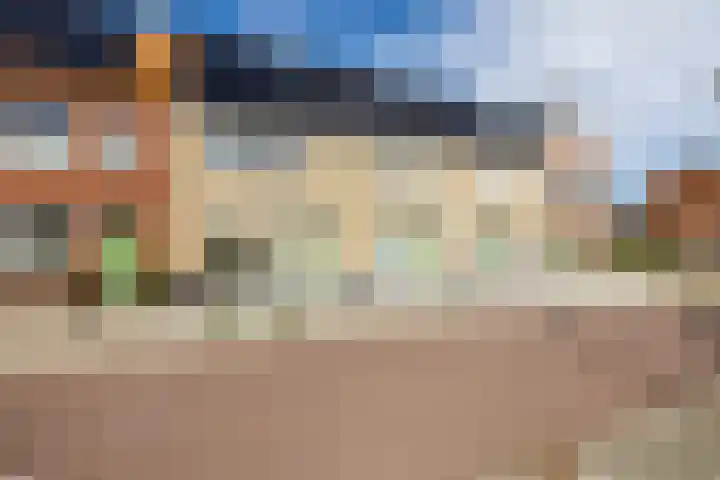 Hoge Weere 110 Zwaag thumbnail 36