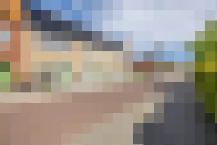 Hoge Weere 110 Zwaag thumbnail 37