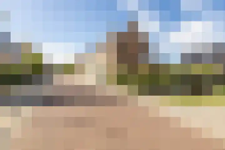 Hoge Weere 110 Zwaag thumbnail 38