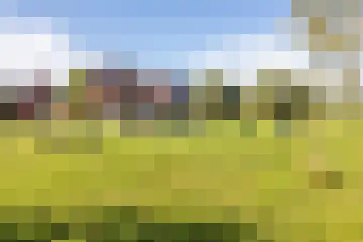 Hoge Weere 110 Zwaag thumbnail 39