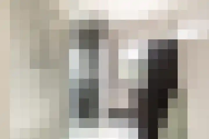 Hoge Weere 110 Zwaag thumbnail 4