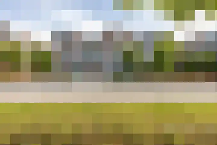 Hoge Weere 110 Zwaag thumbnail 40
