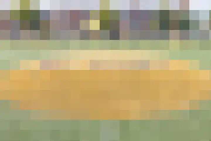 Hoge Weere 110 Zwaag thumbnail 41
