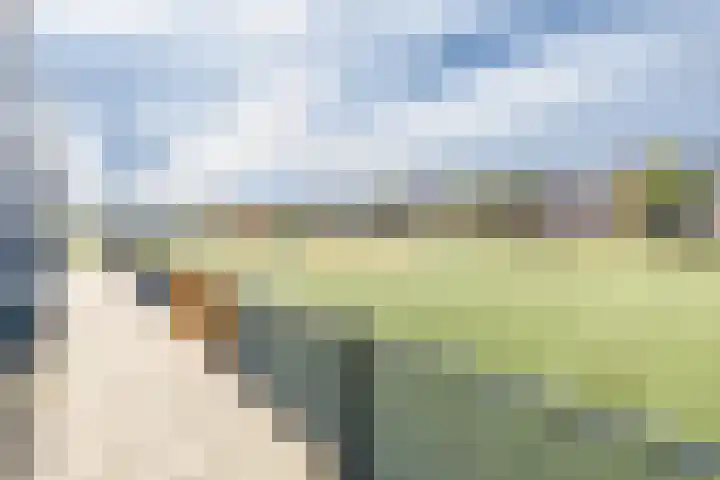 Hoge Weere 110 Zwaag thumbnail 42