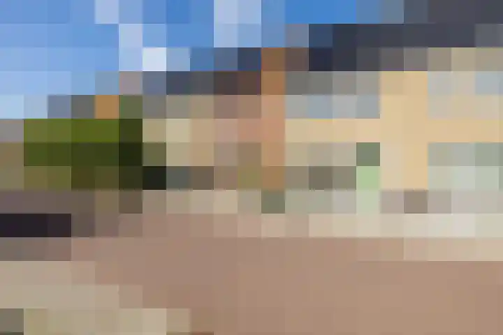 Hoge Weere 110 Zwaag thumbnail 5