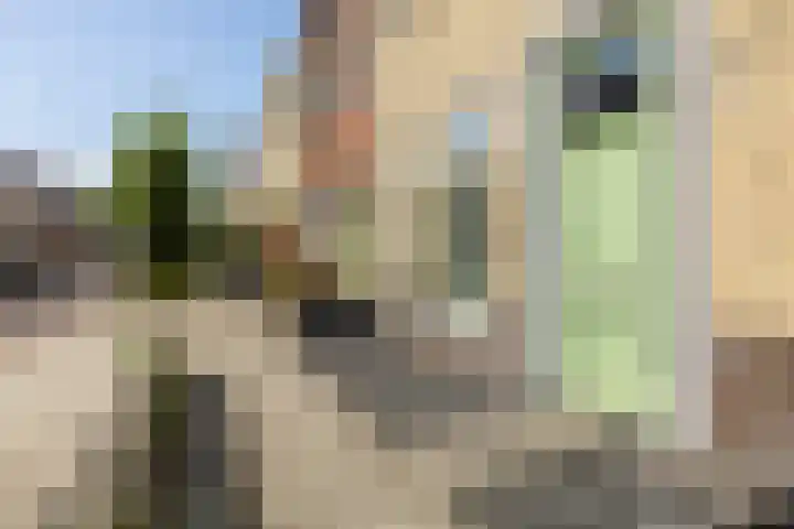 Hoge Weere 110 Zwaag thumbnail 6