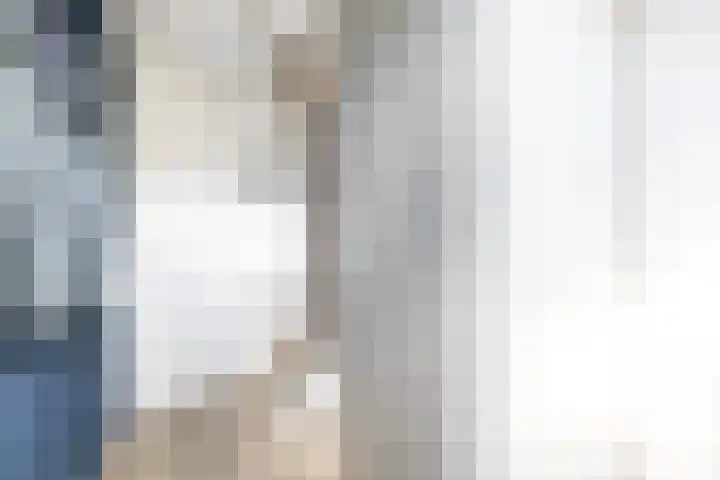 Hoge Weere 110 Zwaag thumbnail 7
