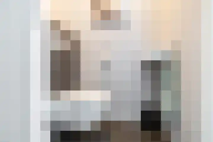 Hoge Weere 110 Zwaag thumbnail 8