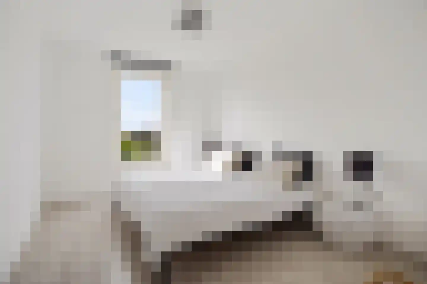 Hoge Weere 3 Zwaag thumbnail 19