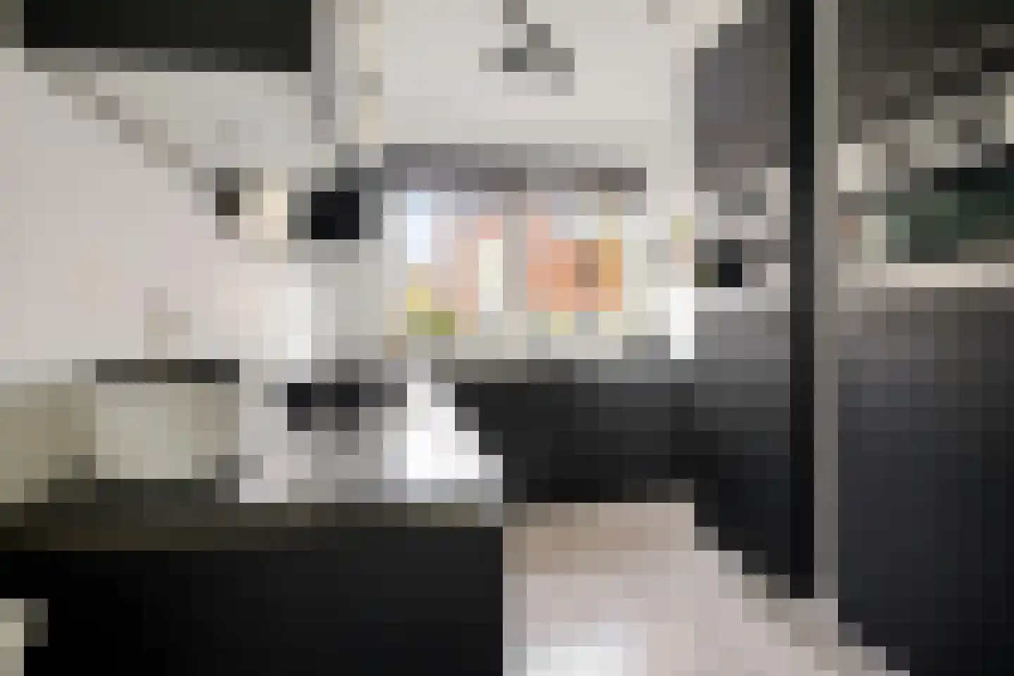 Hoge Weere 3 Zwaag foto 2