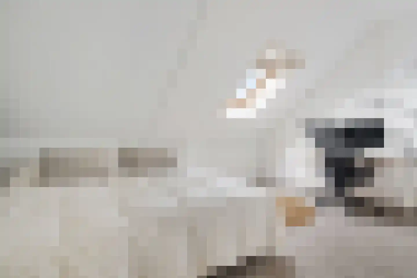 Hoge Weere 3 Zwaag thumbnail 23