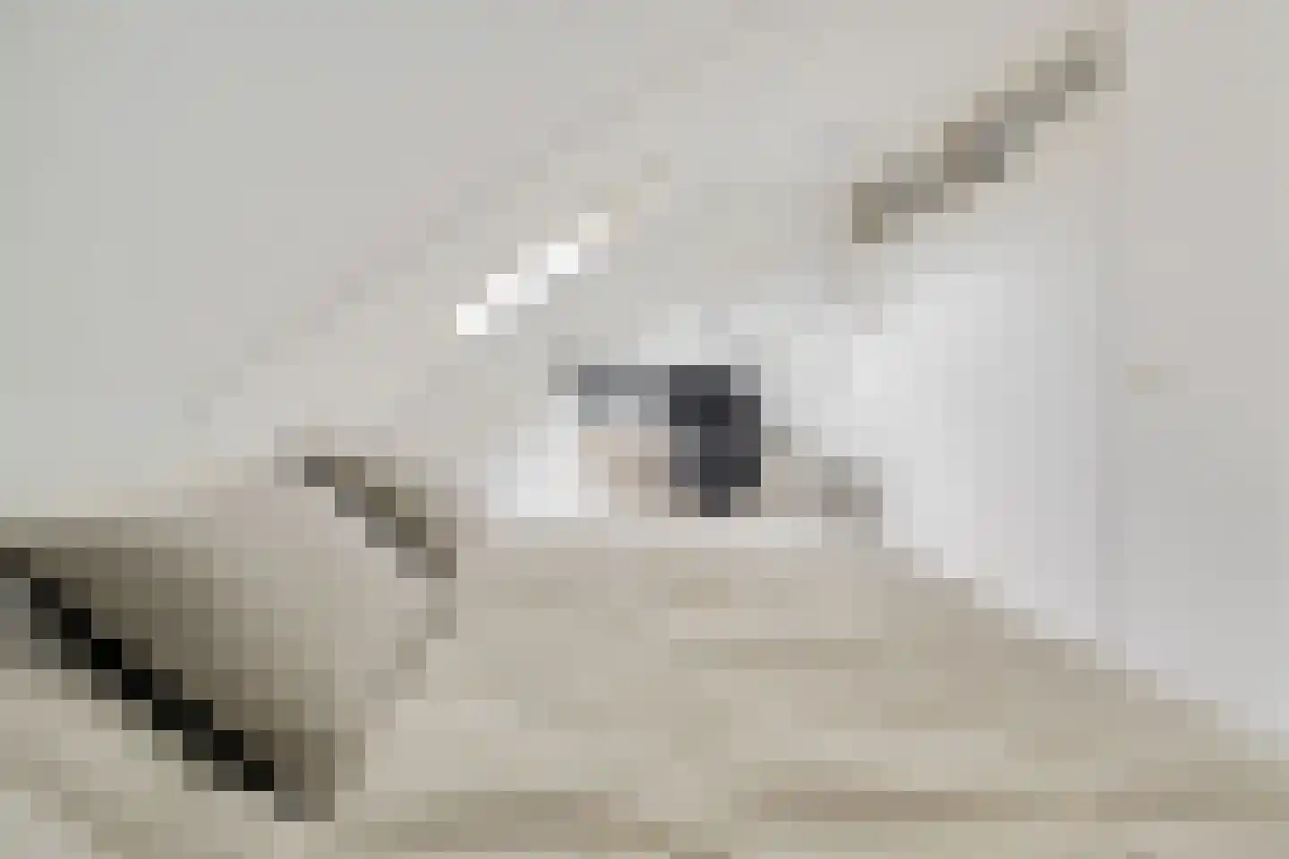 Hoge Weere 3 Zwaag thumbnail 24