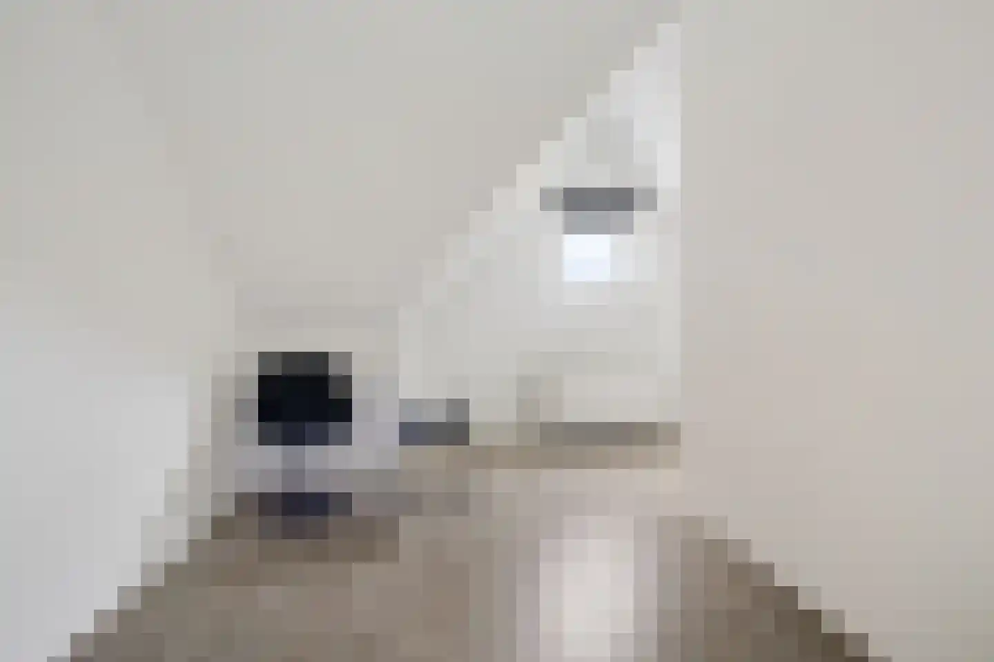 Hoge Weere 3 Zwaag thumbnail 26