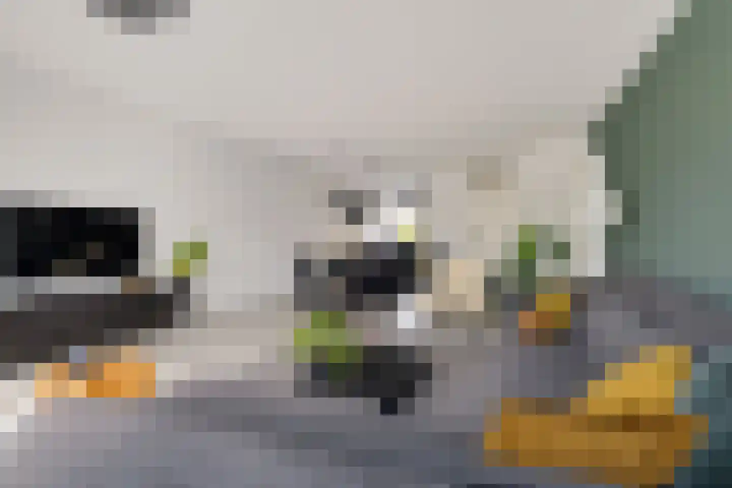 Hoge Weere 3 Zwaag thumbnail 9