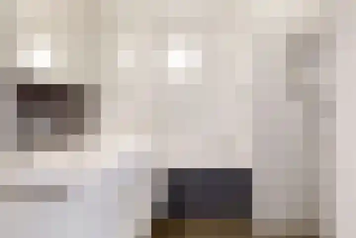 Hoge Weere 4 Zwaag thumbnail 15