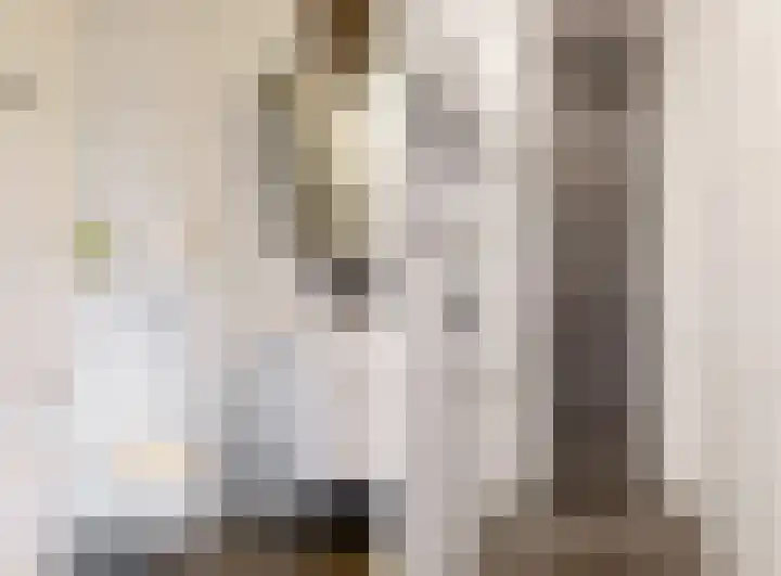 Hoge Weere 4 Zwaag thumbnail 16