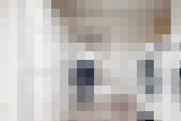 Hoge Weere 4 Zwaag thumbnail 18