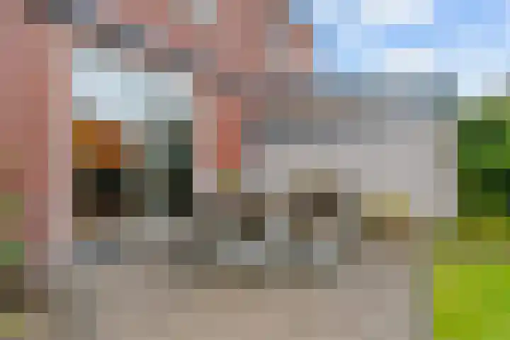 Hoge Weere 4 Zwaag thumbnail 22