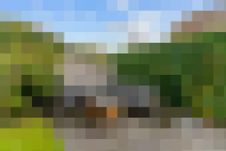 Hoge Weere 4 Zwaag thumbnail 23