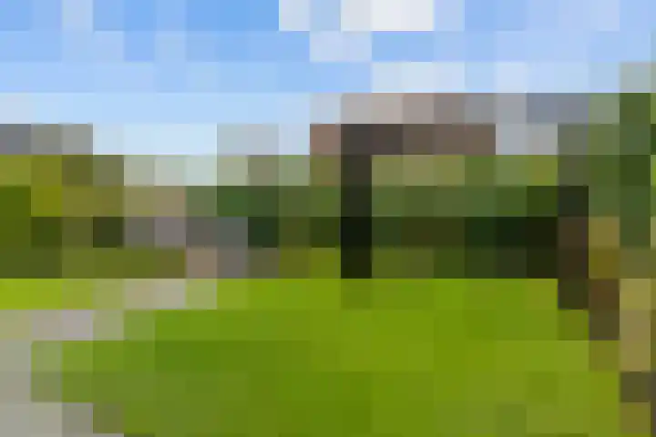 Hoge Weere 4 Zwaag thumbnail 25