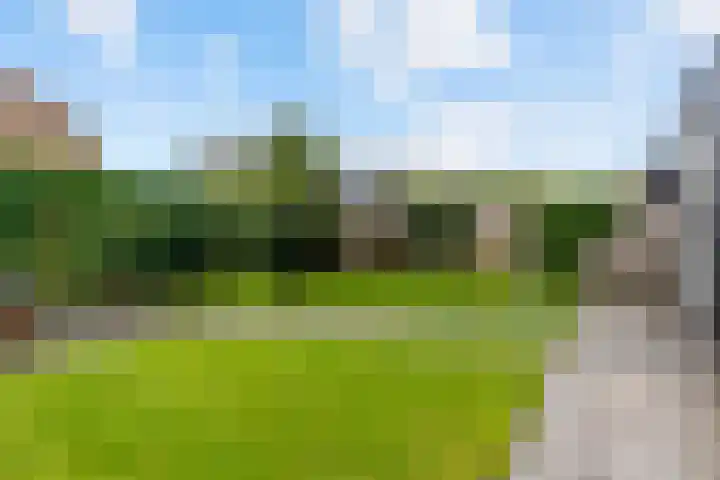 Hoge Weere 4 Zwaag thumbnail 26
