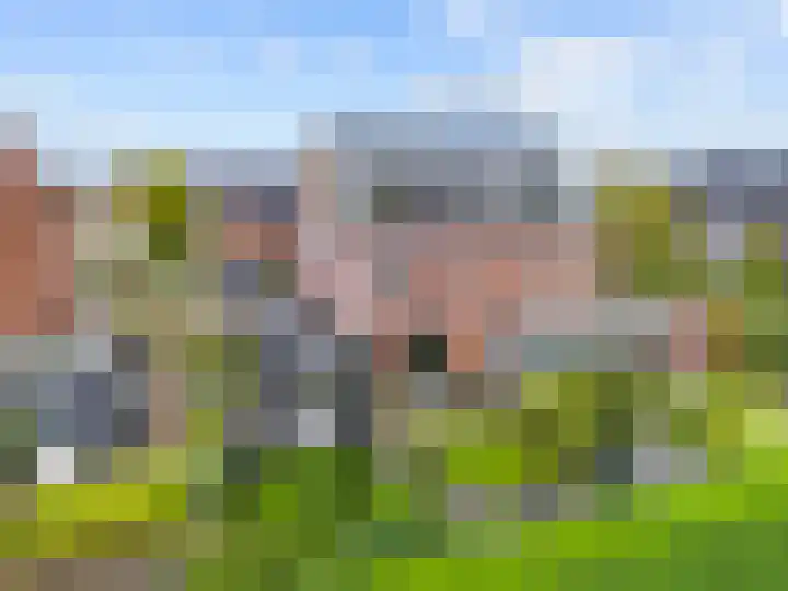 Hoge Weere 4 Zwaag thumbnail 28