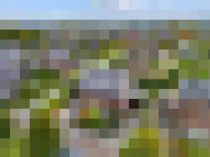 Hoge Weere 4 Zwaag thumbnail 31