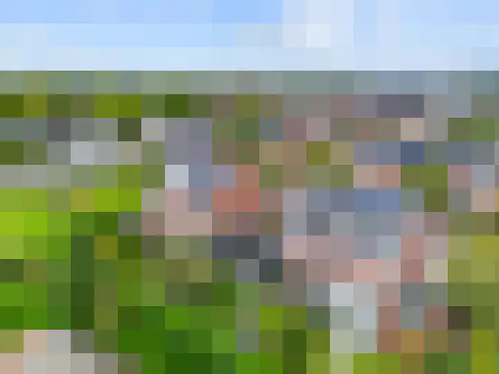 Hoge Weere 4 Zwaag thumbnail 34