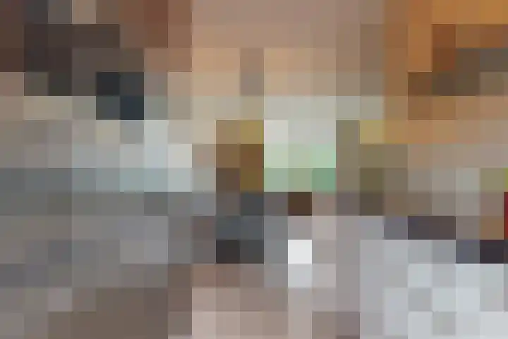 Hoge Weere 4 Zwaag thumbnail 9