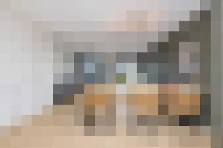Hoge Weere 53 B Zwaag thumbnail 13