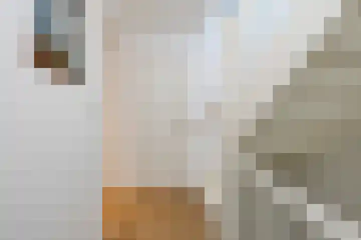 Hoge Weere 53 B Zwaag thumbnail 17