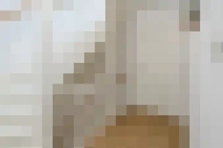 Hoge Weere 53 B Zwaag thumbnail 18