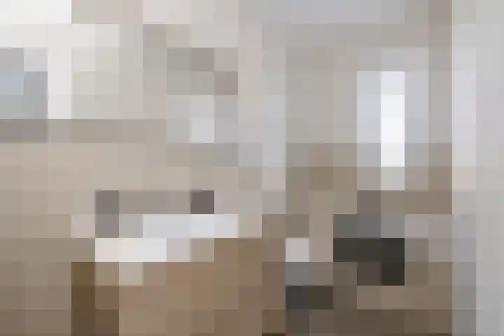 Hoge Weere 53 B Zwaag thumbnail 19