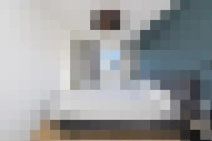 Hoge Weere 53 B Zwaag thumbnail 27
