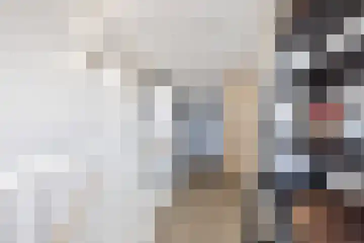 Hoge Weere 53 B Zwaag thumbnail 34