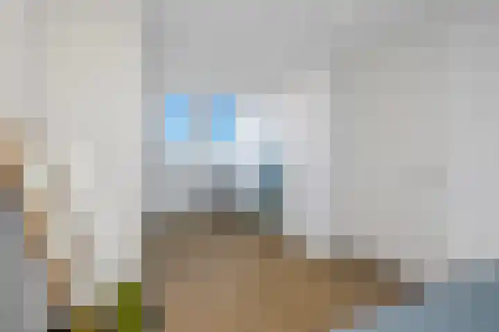 Hoge Weere 53 B Zwaag thumbnail 35