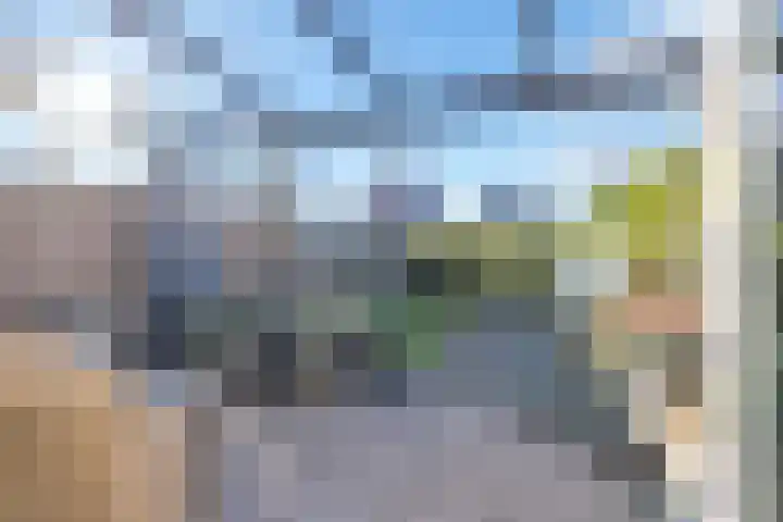 Hoge Weere 53 B Zwaag thumbnail 40