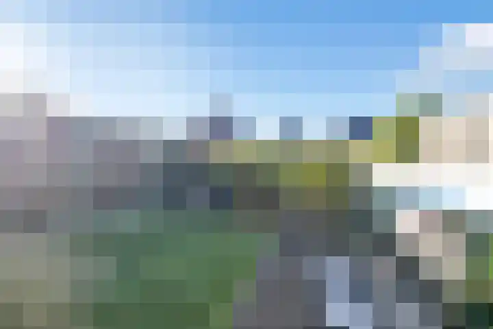 Hoge Weere 53 B Zwaag thumbnail 41