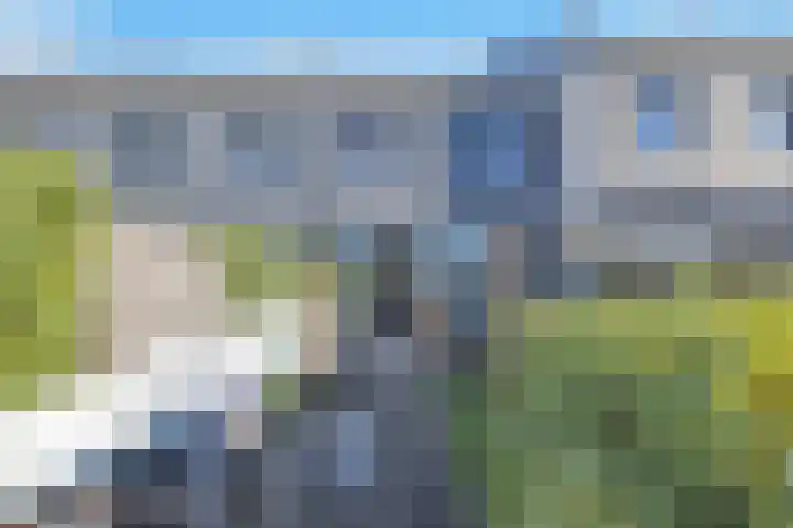 Hoge Weere 53 B Zwaag thumbnail 43