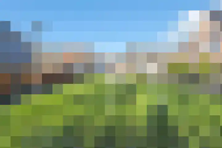 Hoge Weere 53 B Zwaag thumbnail 5