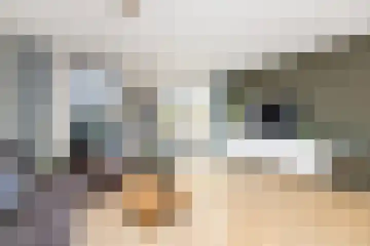 Hoge Weere 53 B Zwaag thumbnail 9