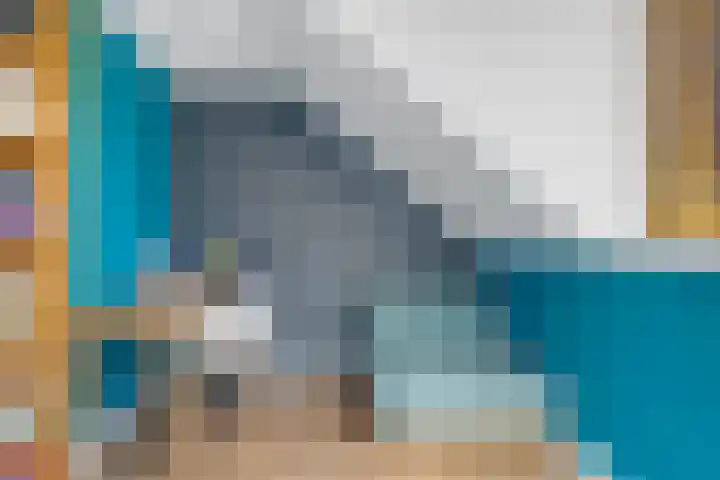 Hoge Weere 92 Zwaag thumbnail 22