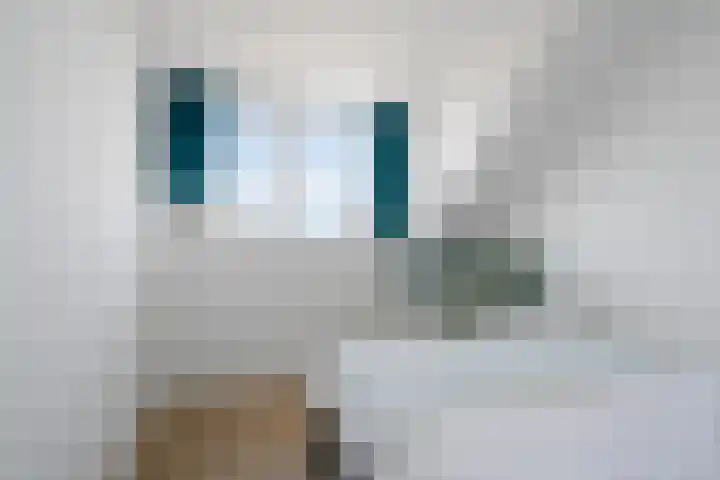 Hoge Weere 92 Zwaag thumbnail 24