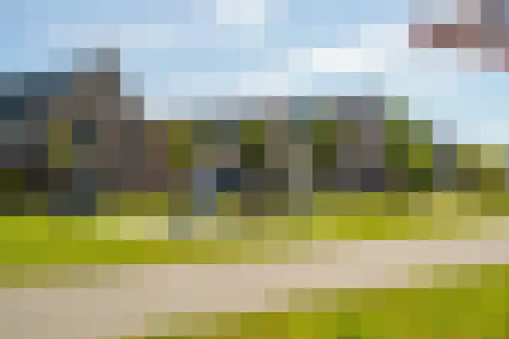Hoge Weere 92 Zwaag thumbnail 26