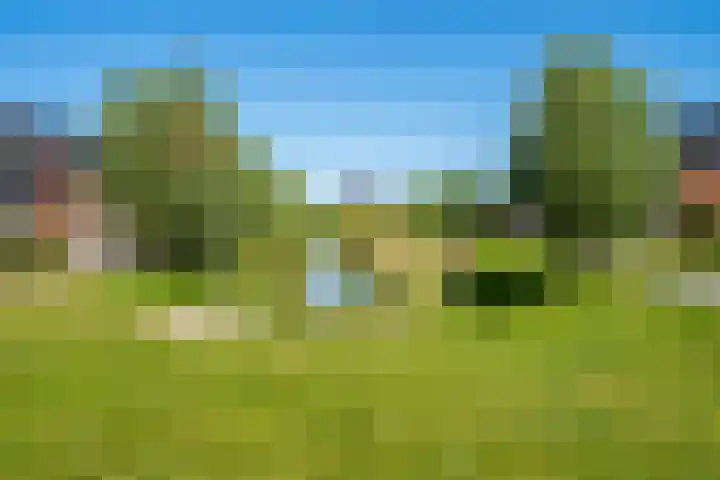 Hoge Weere 92 Zwaag thumbnail 27