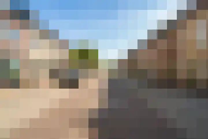 Hoge Weere 92 Zwaag thumbnail 28