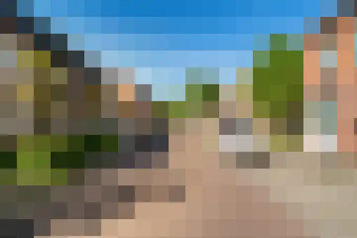 Hoge Weere 92 Zwaag thumbnail 29