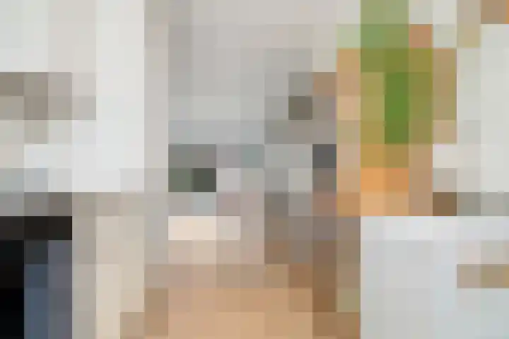Hoge Weere 92 Zwaag thumbnail 9