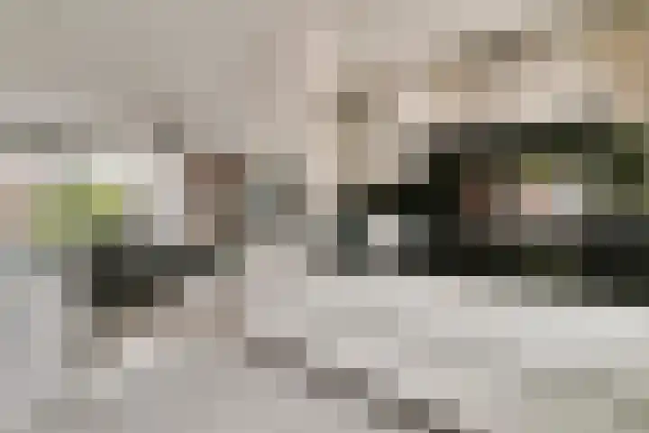 Hoge Weere 94 Zwaag thumbnail 12